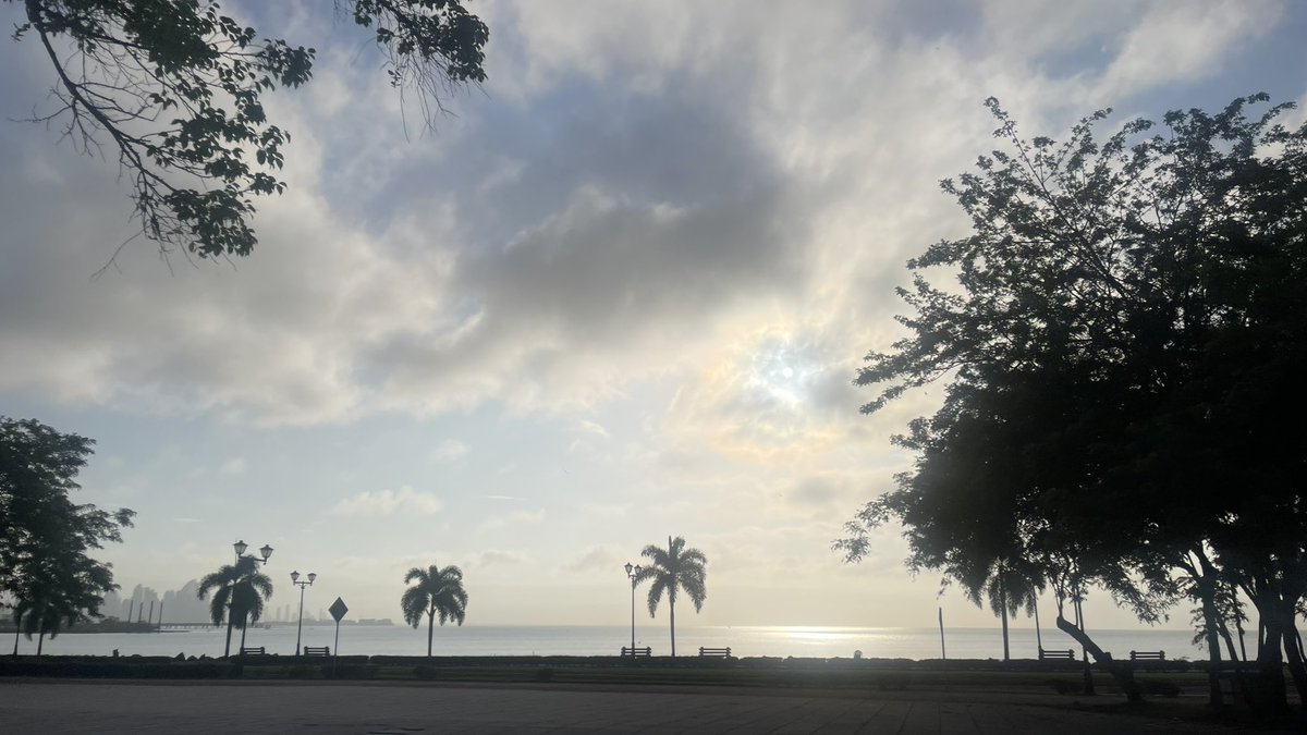 Glohurley's tweet photo. Buenos días 🌞 https://t.co/W3XAgkVOWa