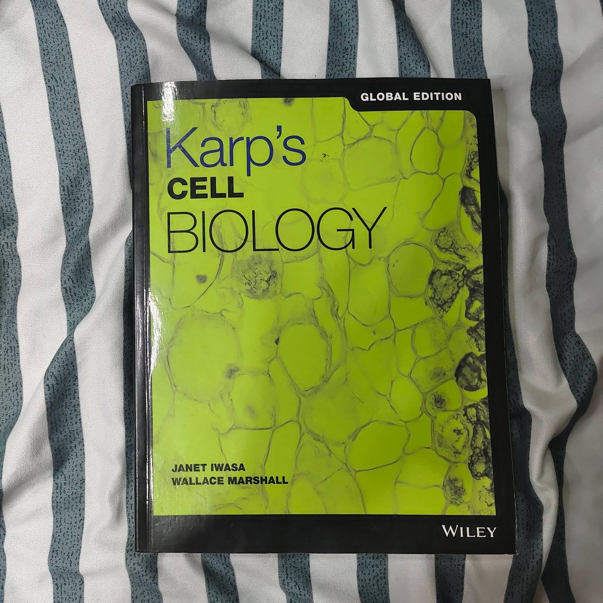 1uvarcy_'s tweet photo. hi, selling my previous college reference books here! please message me if you are interested. thank you! 💗

• Brock Biology of Microorganisms (15th Edition) - ₱1500
• Karp's Cell Biology (Global Edition) - ₱1500
• Essentials of Genetics (9th Edition) - ₱900

#studytwt https://t.co/0X1hDMRUjO