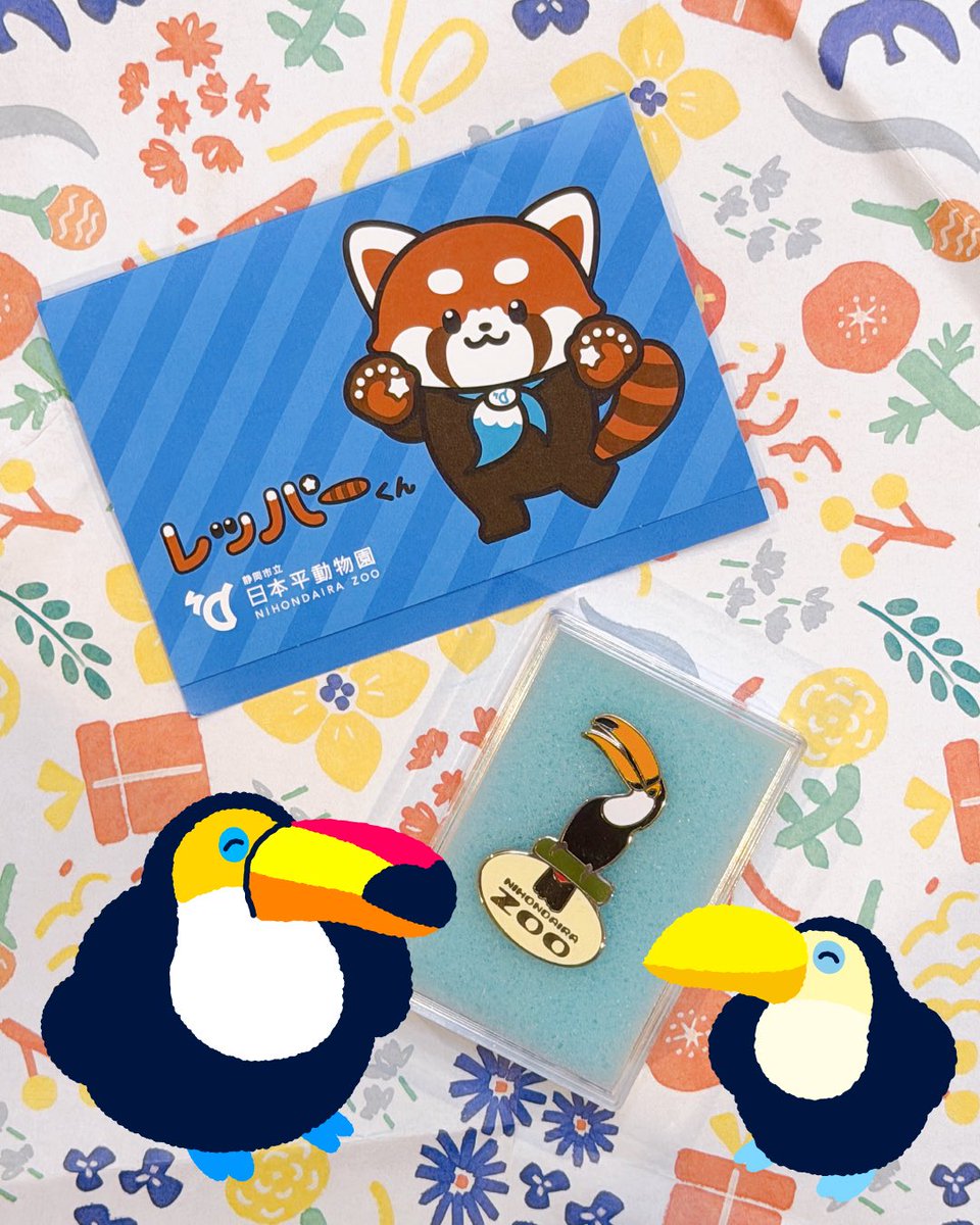 pecker_port's tweet photo. 📢🐥お知らせ
静岡市立日本平動物園のサポーター認定証を受け取りました🎖️

PECKER PORTの売り上げの一部を寄付させていただきました。
日本平動物園は、スタッフの地元にある動物園ということもあり、少しでも貢献できて嬉しく思います✨

#日本平動物園 #オニオオハシ #toucan #オオハシグッズ https://t.co/wo7wBmSjn6