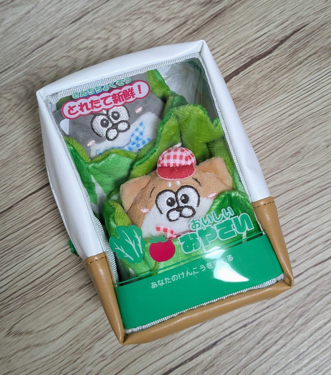 ura_maro035's tweet photo. 朝採れ🐶🥬産地直送🐶🥬
(心の)栄養満点🐶🥬🐶🥬 https://t.co/T4Oxyv2Twg
