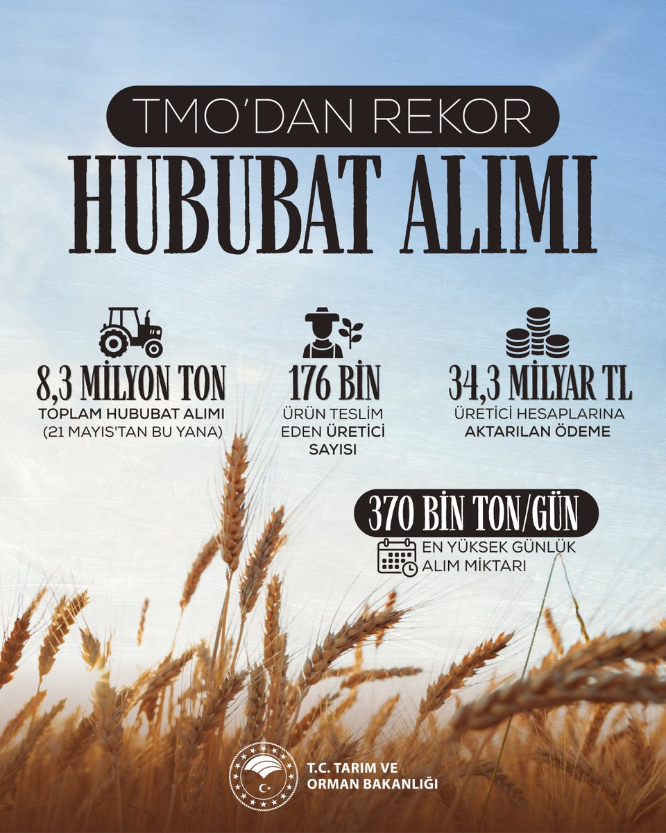 ibrahimyumakli's tweet photo. 🚜 Üreticimizin emeği, toprağımızın bereketi devletimizin güvencesi altında.

🌾 TMO aracılığıyla gerçekleştirdiğimiz günlük 3️⃣7️⃣0️⃣ bin tonluk rekor alım hızıyla çiftçimizin yanındayız. 

👨‍🌾🤝 Bugüne kadar 176 bin üreticimize 34,3 milyar TL ödeme gerçekleştirdik. 

Üreten Türkiye için durmadan çalışıyoruz. 🇹🇷