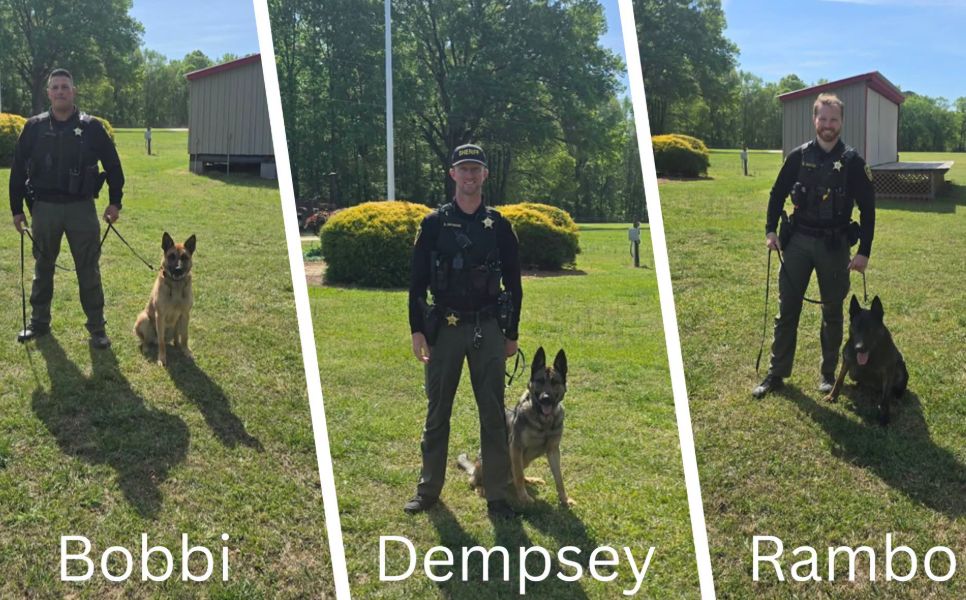 VIK9s's tweet photo. Exciting news for #K9s Bobbi, Dempsey, and Rambo from the Lee County Sheriff’s Office! They'll soon receive new protective vests, thanks to #VIK9s. Each vest will honor Don Fike. Let’s keep our brave #K9heroes safe and show them some love! https://t.co/ELt7oXeZlO