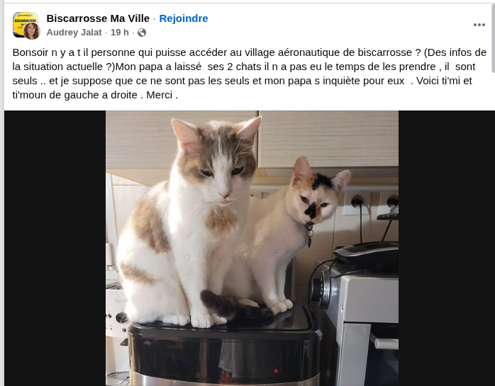 Loovenelle's tweet photo. #Biscarosse #incendies https://t.co/cuWgxViIeJ