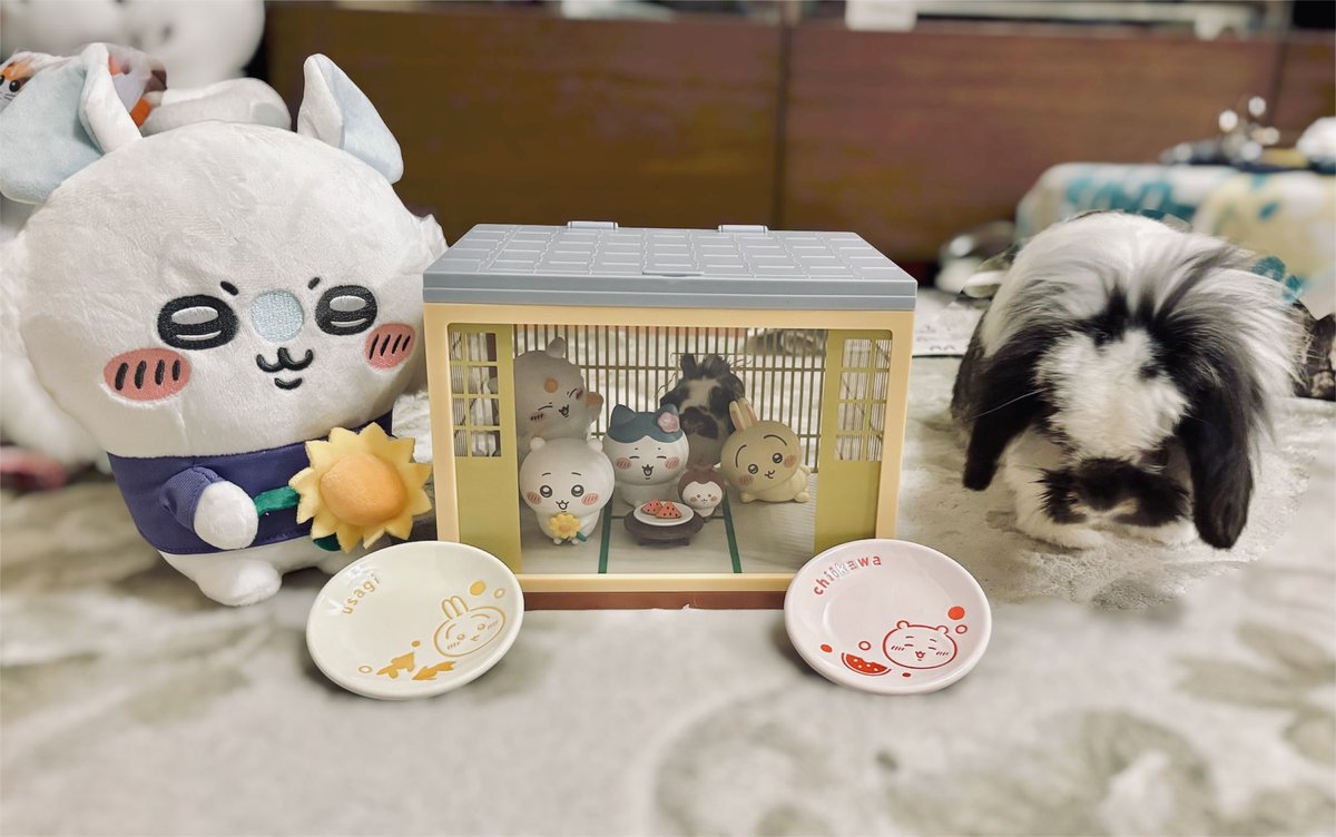 okayan522's tweet photo. ちいかわくじ引いてきた
一発勝負するつもりが一人3回まで引けると聞いたら誘惑に負けて3回引いてしまった😅
私が行った時は既にウサギぬいは無かったけど、まさかの一等賞🥇ジオラマフィギュア当たった❣️😆💕
あとは豆皿とモモンガぬい
今週は映画も観に行くのにこの夏は金欠確定𐤔𐤔𐤔 https://t.co/NhWko6G5sr