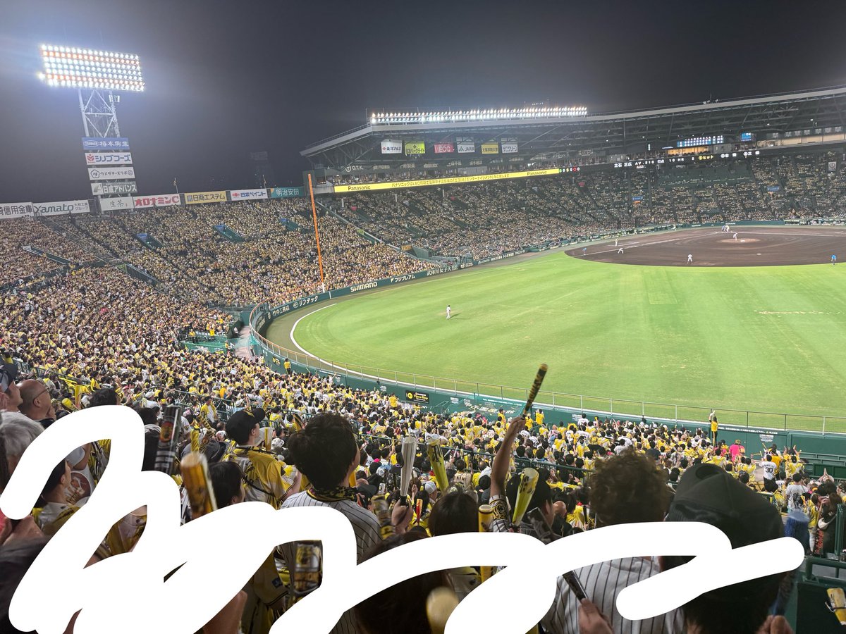 tora_patsu's tweet photo. 甲子園で弱いな〜（笑） 後ろのファミリーがとても良い方達で50段通路側で立ち応援できたでそこは満足なり。噂の9回団長リードによるヤケクソ立ち応援笑った。 https://t.co/4xPf0uBvfk