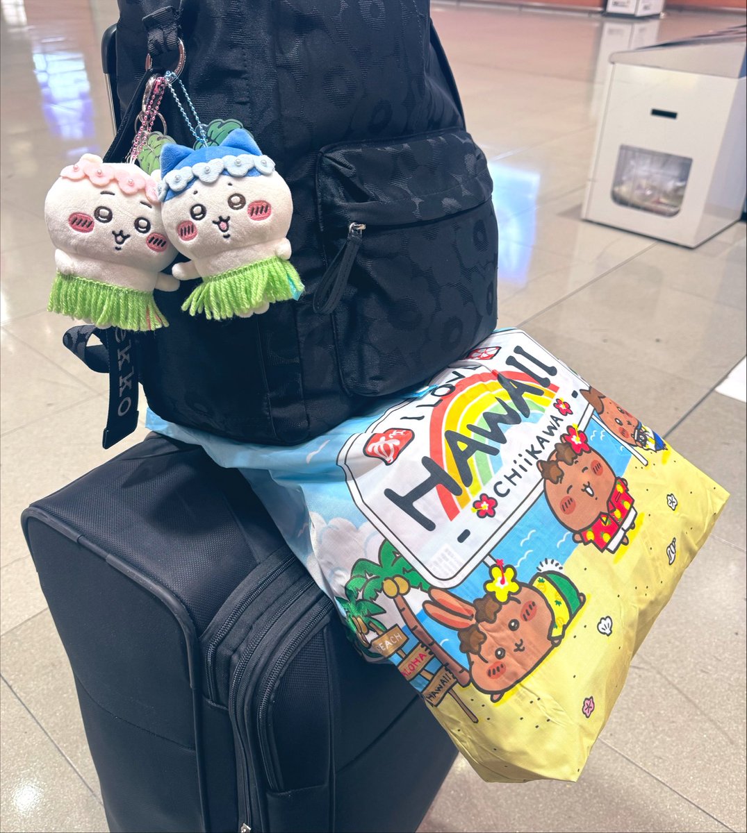 emiliahachiware's tweet photo. ただいま、日本🛬

15分遅れて出発したのに、20分早く着いたってどういうこと😹

そして、約27時間くらいしか滞在してないのに、この大荷物ってどういうこと😹

あと、韓国から帰ってきたのに、ハワイ行ったみたいになってる😹 https://t.co/TWmBWMwDLy