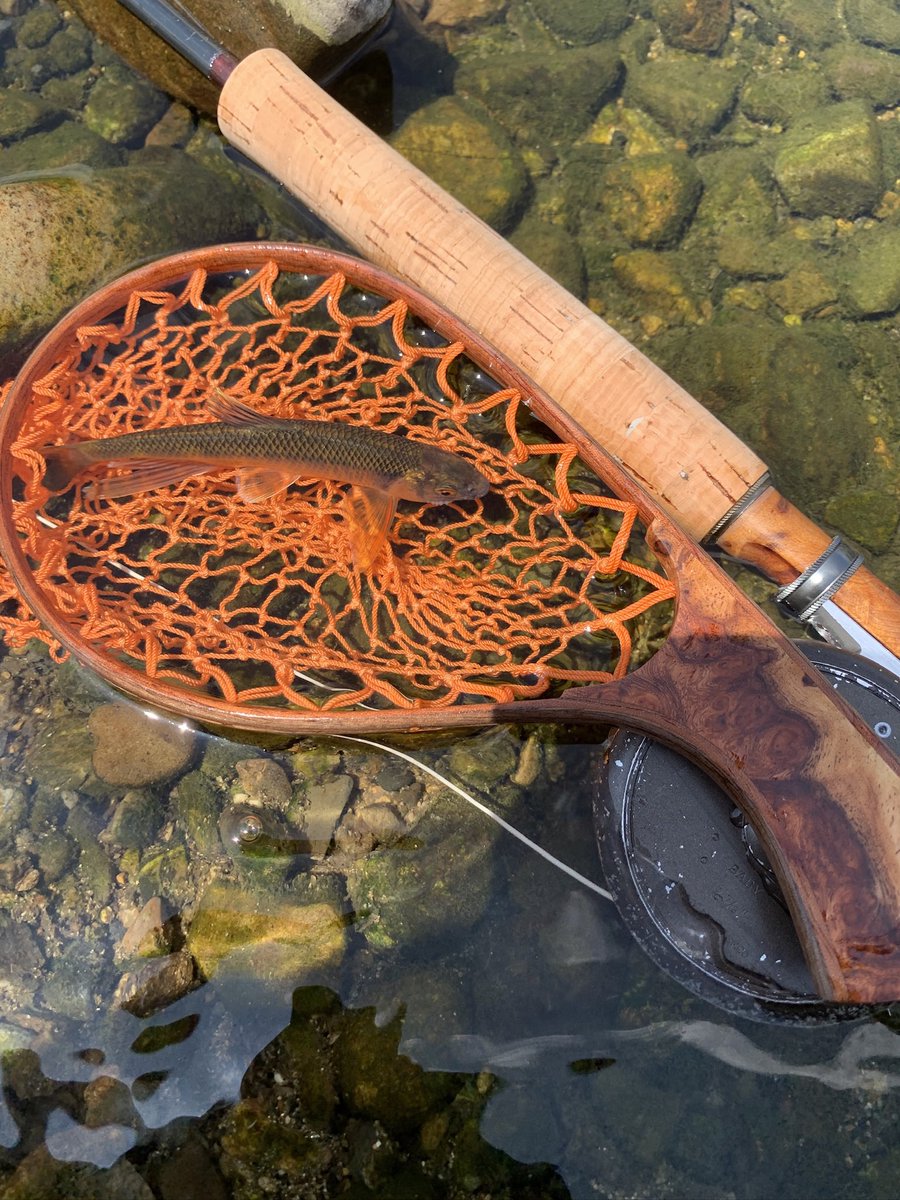 kamesan313's tweet photo. 今日も今日とてオイカワフライ🎣
あまり良くない状況でしたが…
番長来てくれました😀

同行者とタックル交換したり、巻いたフライを配ったり楽しい日でした。

#オイカワフライ
#トップバトラー
#フライフィッシング https://t.co/1AvoSrUZlQ