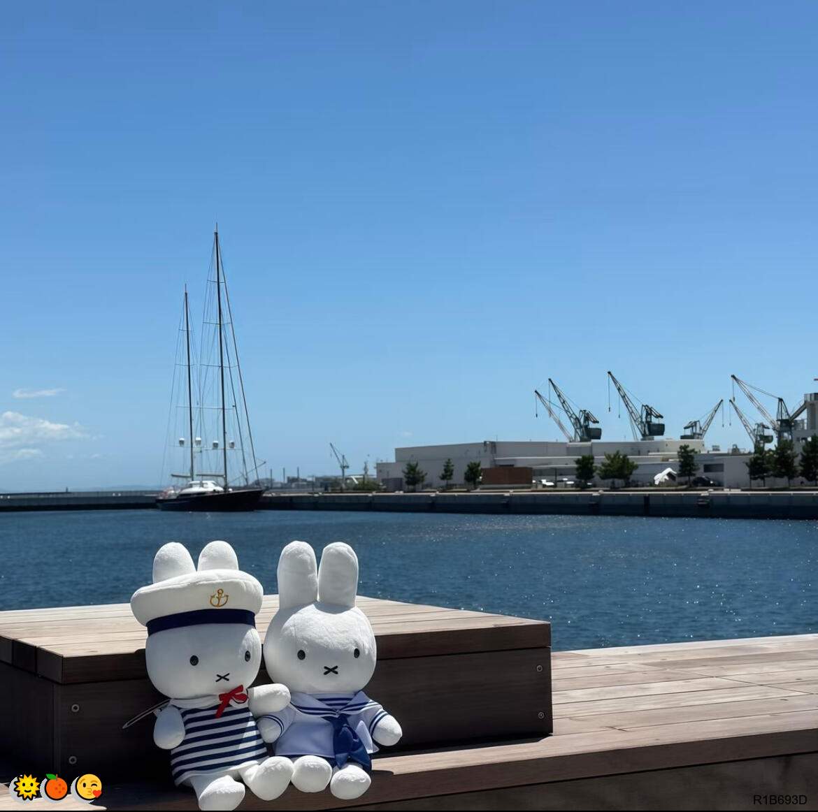 MWhyet86509's tweet photo. 🌟裸聊🤗福利姬🍀萝莉💕道具爆菊😁女陪🌈调教🎉恋母😁群p🌟每日大赛💫女S👏呻吟😃丝袜✨幼女😆磕炮💕连麦🍀大胸😎drip蜡女s👍mother狗💫约炮🌟陪玩

企鹅裙：1818089
X：@zhien52000
飞机：zuoyi1v1
裸聊/连麦/文爱/调教/寸止 https://t.co/cu1B43oNlU