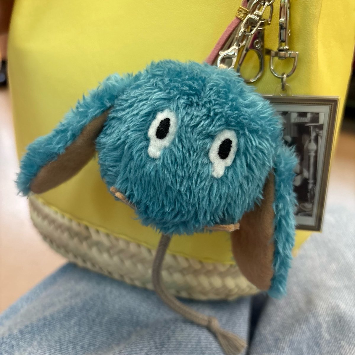 caory__v's tweet photo. うちのセロルとお出かけしてきた٩( 'ω' )و
もし公式セロルぬいが出たらこの非公式セロルくんはお留守番組にしなきゃなので、それまでたくさんお出かけさせてあげようね https://t.co/A1wW5DykIW