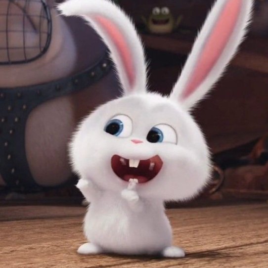 eclairswon's tweet photo. happy (bunny)sangwon (˶ˆᗜˆ˵)⋆˙ https://t.co/Xxfq9uqRd3