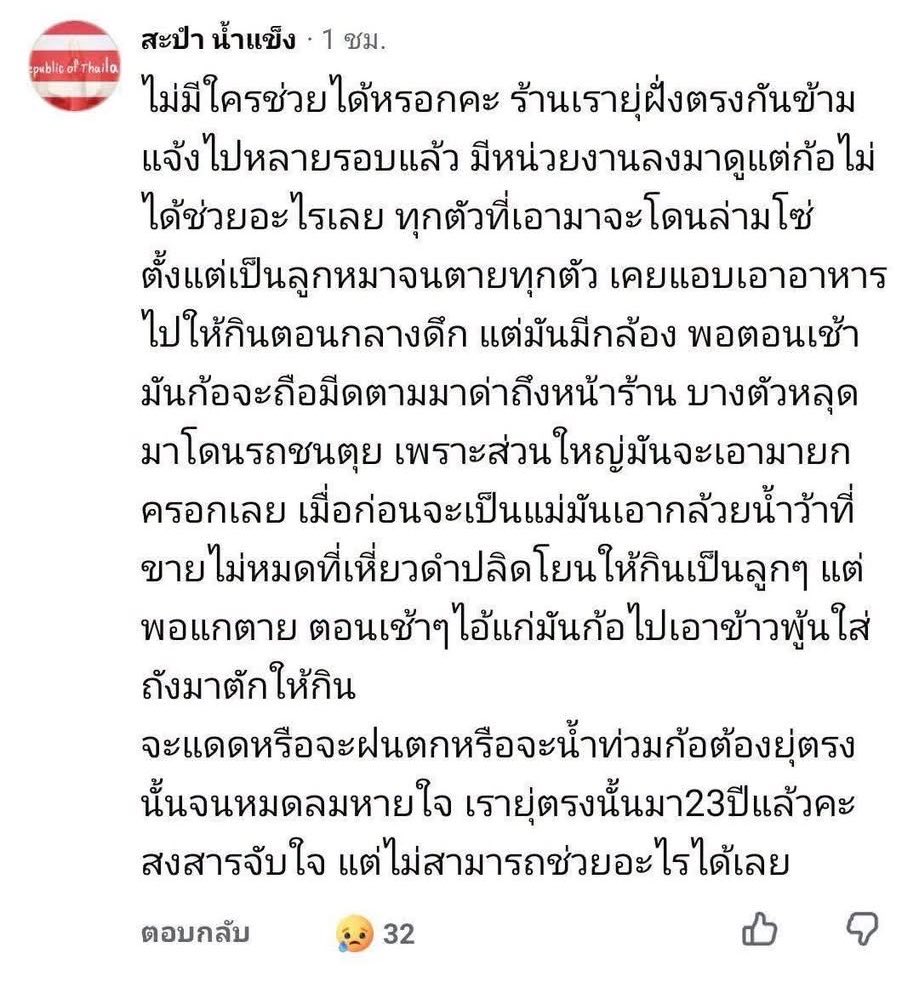 tintinmaikinpuk's tweet photo. ช่วยรีทวิตอันนี้หน่อยได้ไหม วันนี้มีเจ้าหน้าที่เข้าไปทั้งตำรวจ อบต. และซอยด๊อกแล้วแต่ไม่สามารถช่วยได้ อยากให้เรื่องนี้ดังจะได้เป็นกระแสและช่วยน้องๆทุกตัวออกมาเพราะตอนนี้ในนั้นมีน้องหมาอยู่หลายตัว
https://t.co/hApyimMj2n

https://t.co/hApyimMj2n
#หมา #ภูเก็ต #ทวิตดีคนรีน้อย https://t.co/hhSeg6x5WX