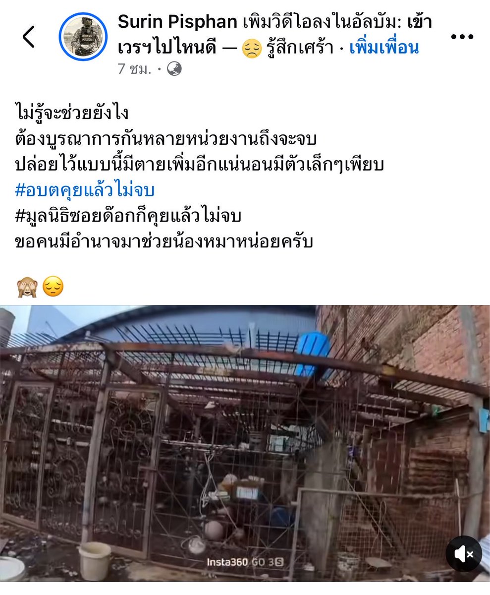 tintinmaikinpuk's tweet photo. ช่วยรีทวิตอันนี้หน่อยได้ไหม วันนี้มีเจ้าหน้าที่เข้าไปทั้งตำรวจ อบต. และซอยด๊อกแล้วแต่ไม่สามารถช่วยได้ อยากให้เรื่องนี้ดังจะได้เป็นกระแสและช่วยน้องๆทุกตัวออกมาเพราะตอนนี้ในนั้นมีน้องหมาอยู่หลายตัว
https://t.co/hApyimMj2n

https://t.co/hApyimMj2n
#หมา #ภูเก็ต #ทวิตดีคนรีน้อย https://t.co/hhSeg6x5WX