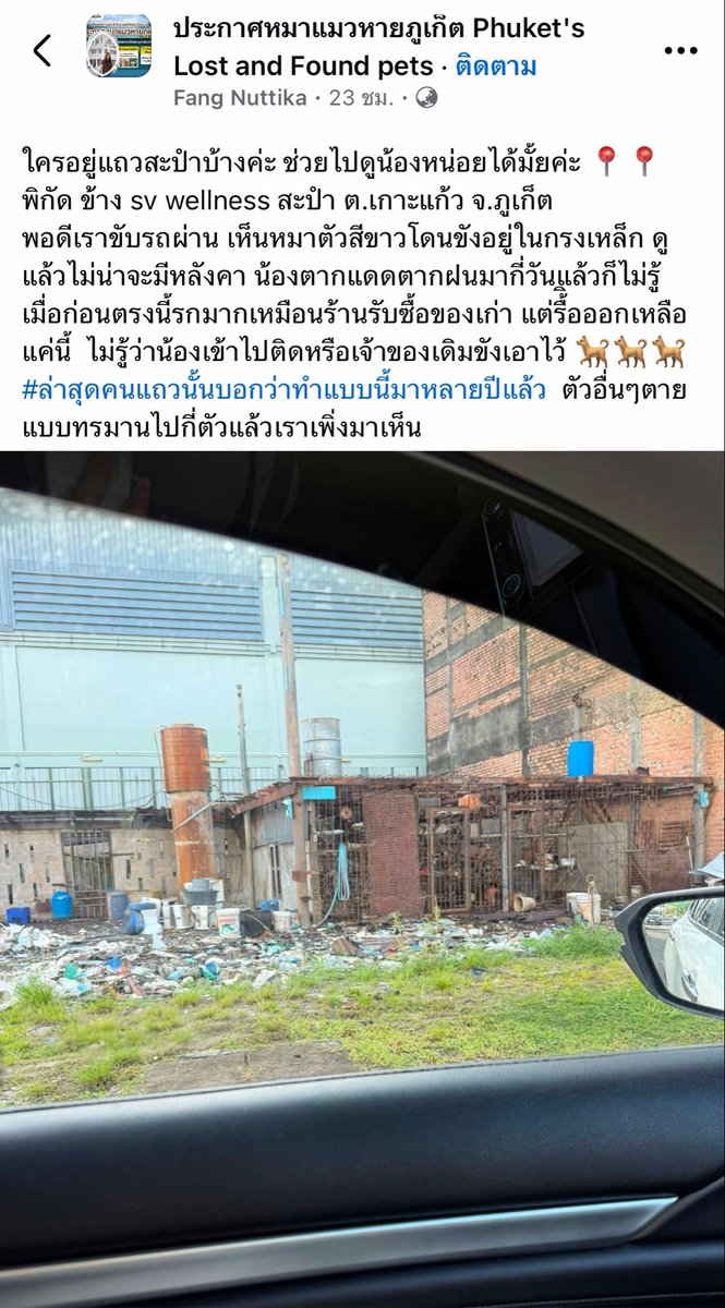 tintinmaikinpuk's tweet photo. ช่วยรีทวิตอันนี้หน่อยได้ไหม วันนี้มีเจ้าหน้าที่เข้าไปทั้งตำรวจ อบต. และซอยด๊อกแล้วแต่ไม่สามารถช่วยได้ อยากให้เรื่องนี้ดังจะได้เป็นกระแสและช่วยน้องๆทุกตัวออกมาเพราะตอนนี้ในนั้นมีน้องหมาอยู่หลายตัว
https://t.co/hApyimMj2n

https://t.co/hApyimMj2n
#หมา #ภูเก็ต #ทวิตดีคนรีน้อย https://t.co/hhSeg6x5WX