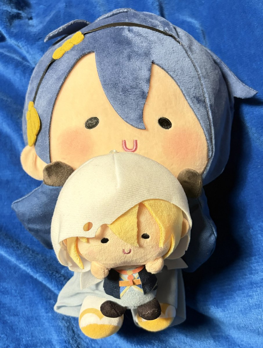 gin_dosu's tweet photo. 🍊🌱すっぽり収まった！かわ…かわ…可愛いO(:3 )～ ('､3_ヽ)_ https://t.co/6rw93l90yu