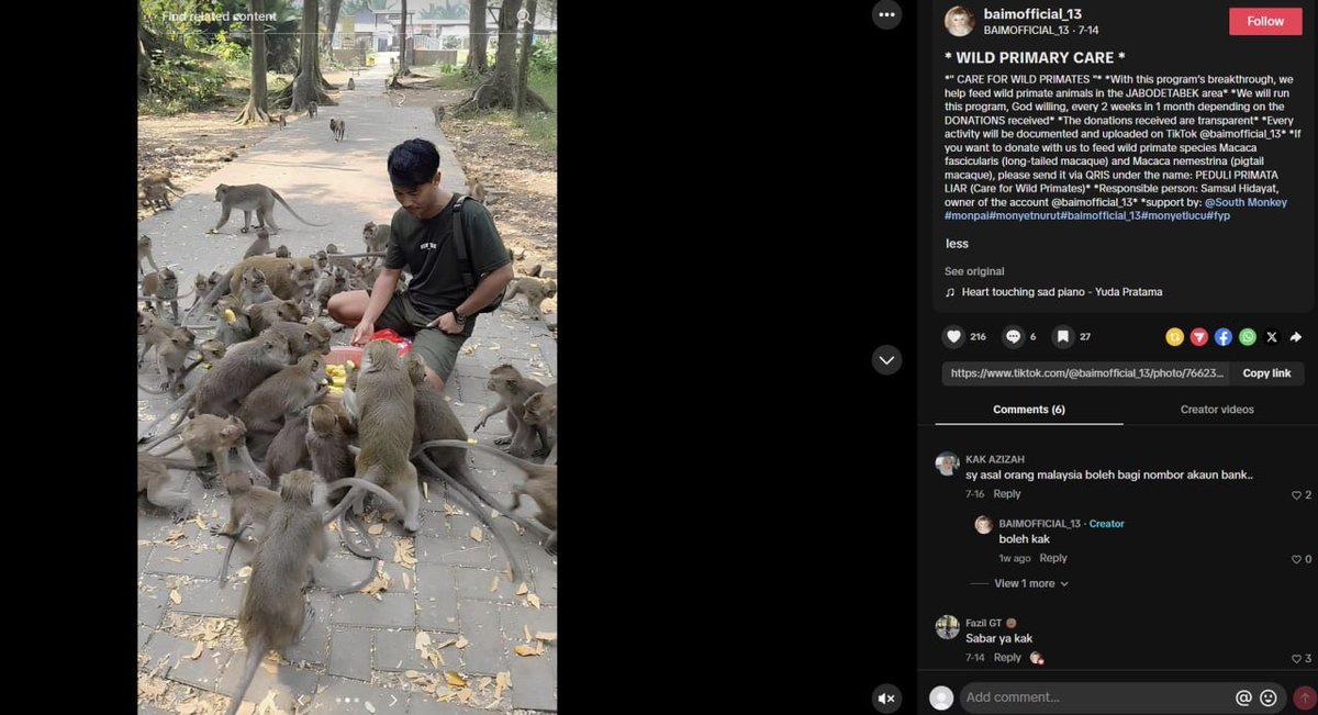 gengar019's tweet photo. This monkey is quickly becoming the next big monkey meme.
The monkey wif watermelon video alone hit 3M views in just 3 days on Instagram, while multiple videos on their TikTok have already reached millions of views.
https://t.co/g7WKOdBXjZ

I reached out to the owner and learned they're behind Peduli Primata Liar, a program that helps feed and care for wild primates.

100% of the fees will be sent directly to the owner.