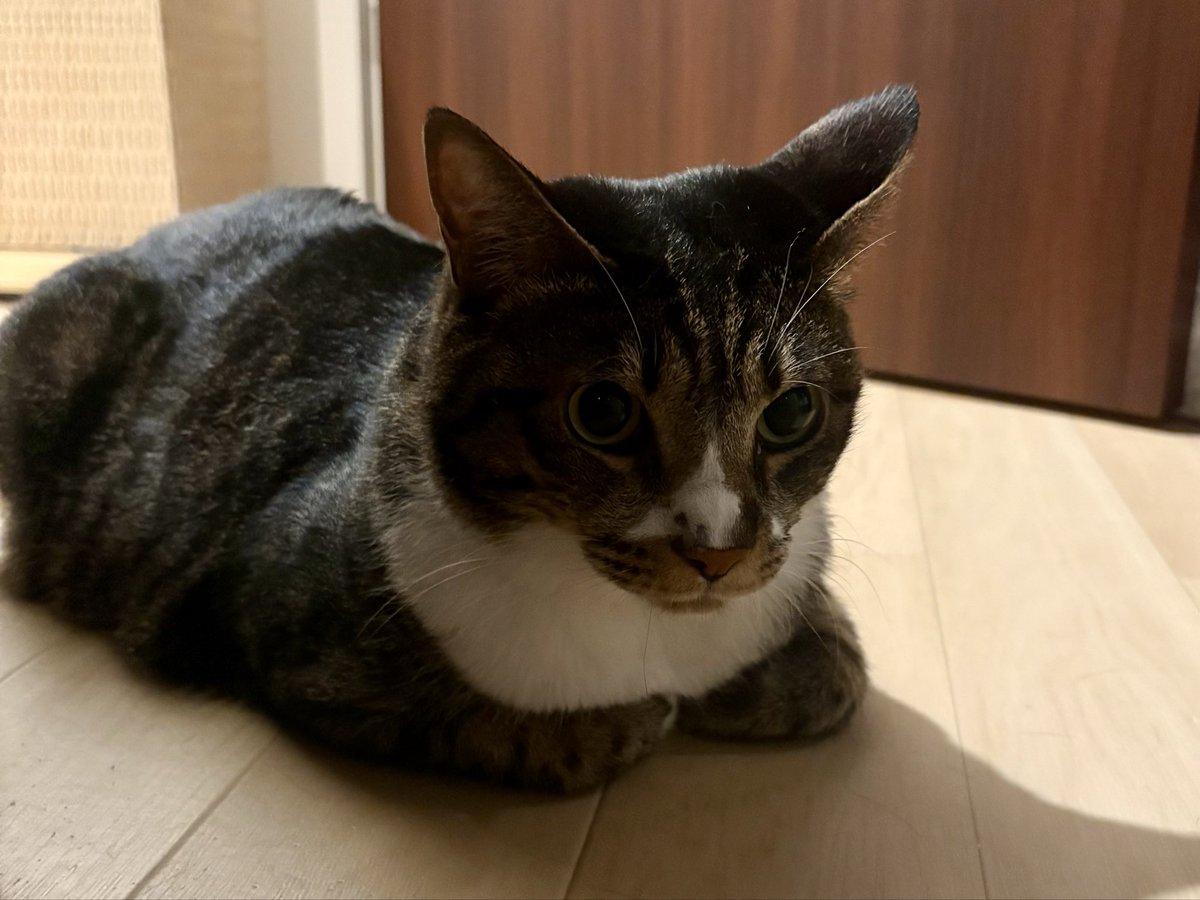 naruo_210822 tweet picture