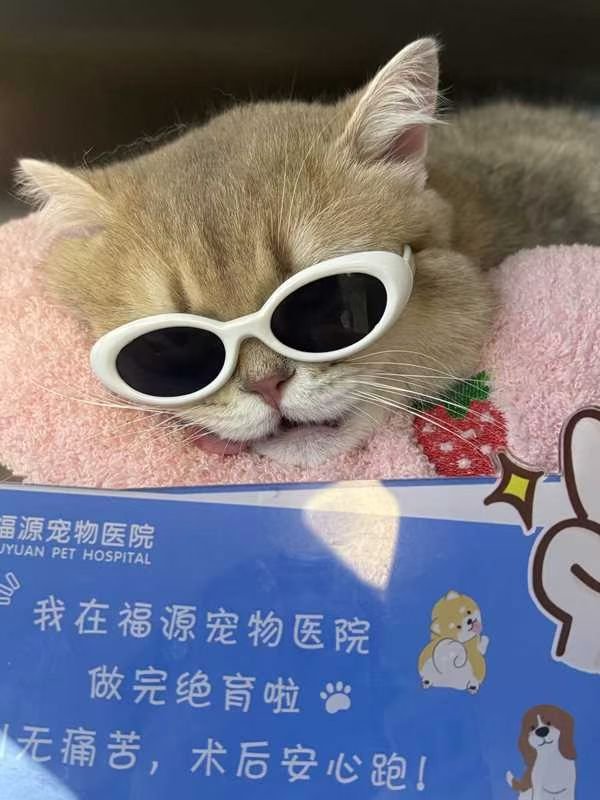 linlin040219's tweet photo. 很好很好，嘎完了，以后就变成小太监了。 https://t.co/deceG8u8lp
