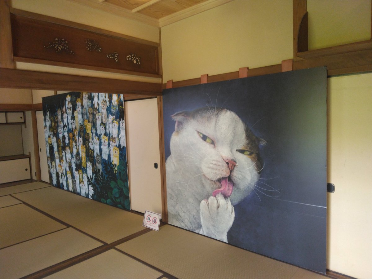 ill24244's tweet photo. それはそれとして猫が足りない！というあなた！『こおりやま文学の森資料館』にて【隙あらば猫～町田尚子絵本原画展～】が開催されています！絵本やグッズ販売、書き下ろし原画もあり、猫好き必見の展示となっております！繊細に描かれた毛並みを近距離で見られて大満足！ぜひ癒やされに行ってください https://t.co/GMlu6Msnfu