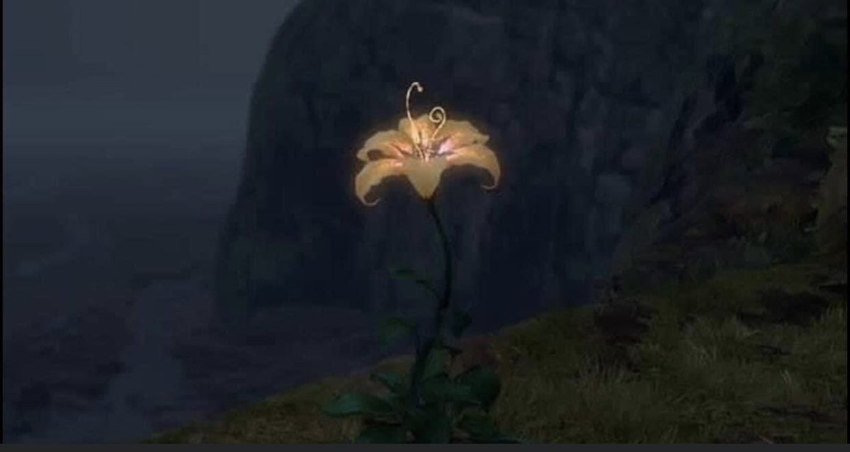 odaradeverdade's tweet photo. Parabéns, você rolou tanto o feed que achou a flor mágica 💖 tudo o que você pedir nesse post vai se realizar✨ https://t.co/Om59tqXHVP