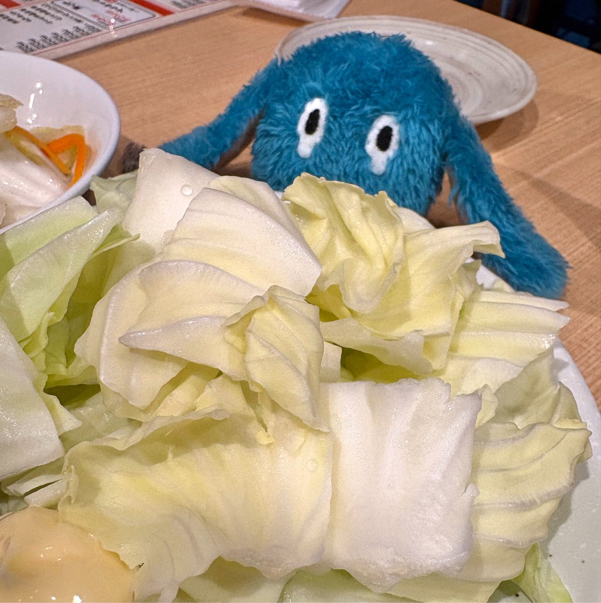 caory__v's tweet photo. キャベツとセロル(セロリは無かったので https://t.co/tEiIpfRCti