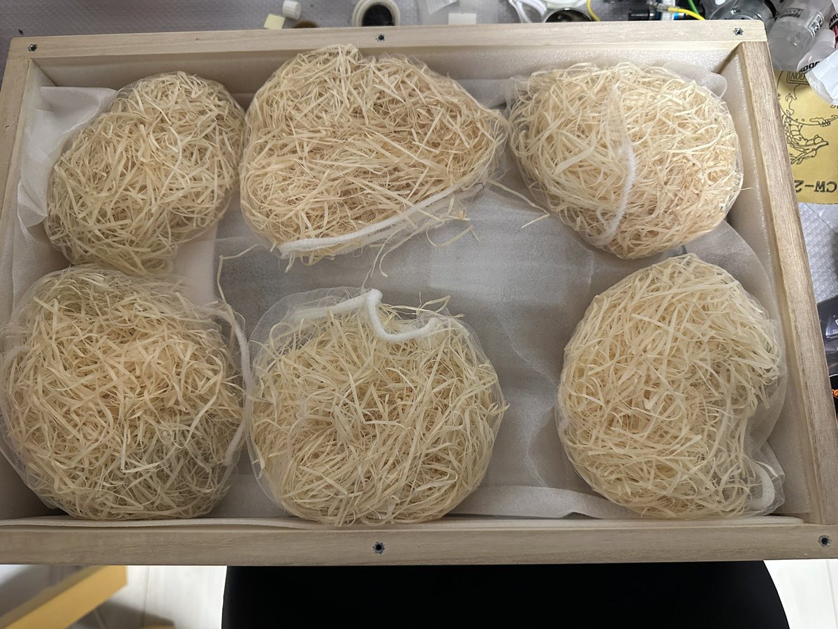 rc10worlds's tweet photo. まるで、メロン🍈 https://t.co/PevmGX3oit