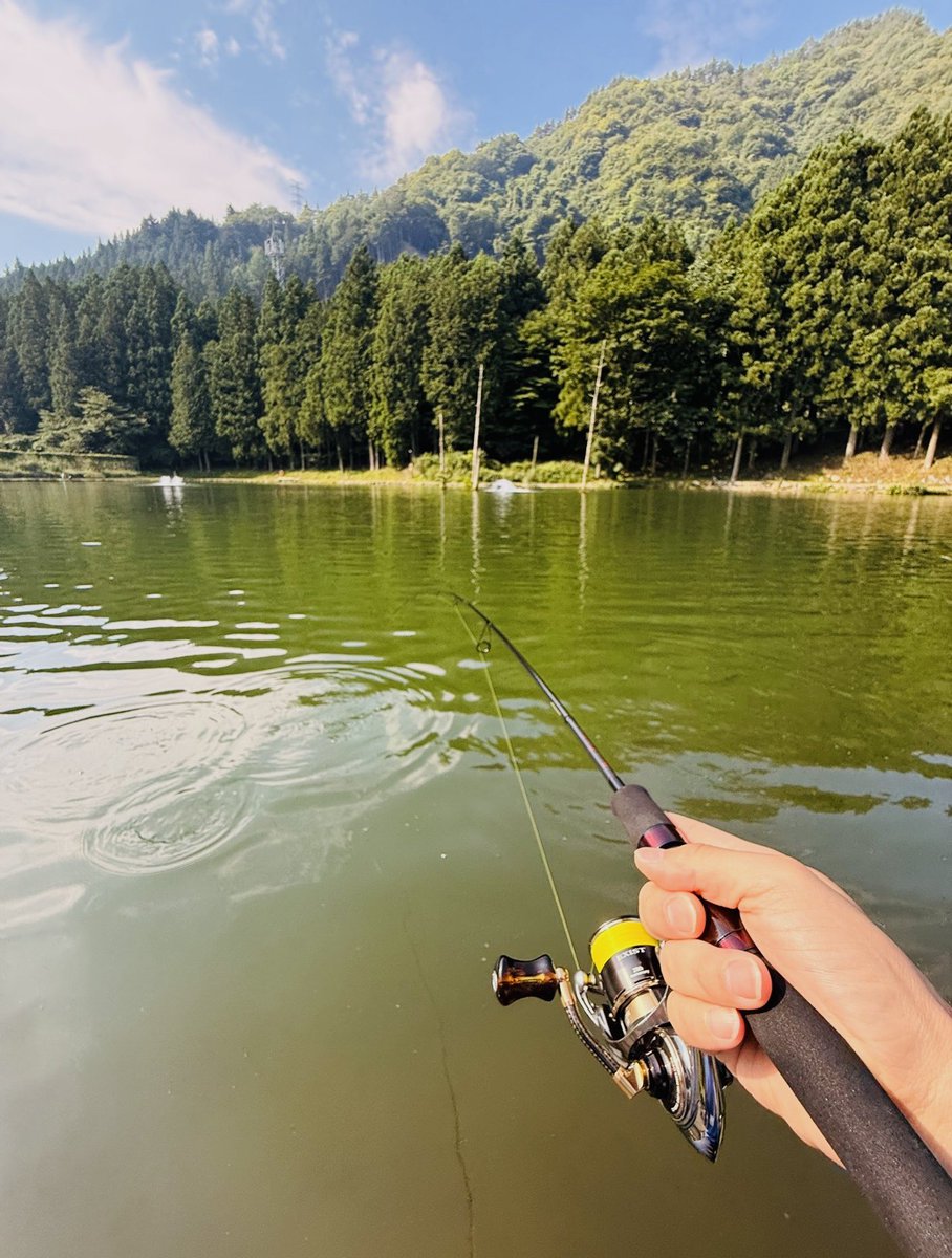kasashou11's tweet photo. 猛暑でも流れに付いてる高活性レインボーを遠投で！

表層で誘いを入れながらファーストリトリーブ！ドン！！

遠投の釣りを楽しみながらフックバランス等チェック。

最後にストリームエリアへ🏃

昔から変わらないロケーション最高でした🏞️

#ssylabel #slpworks #20thexist #dainsleif #鹿留 https://t.co/H22PgXYpTu