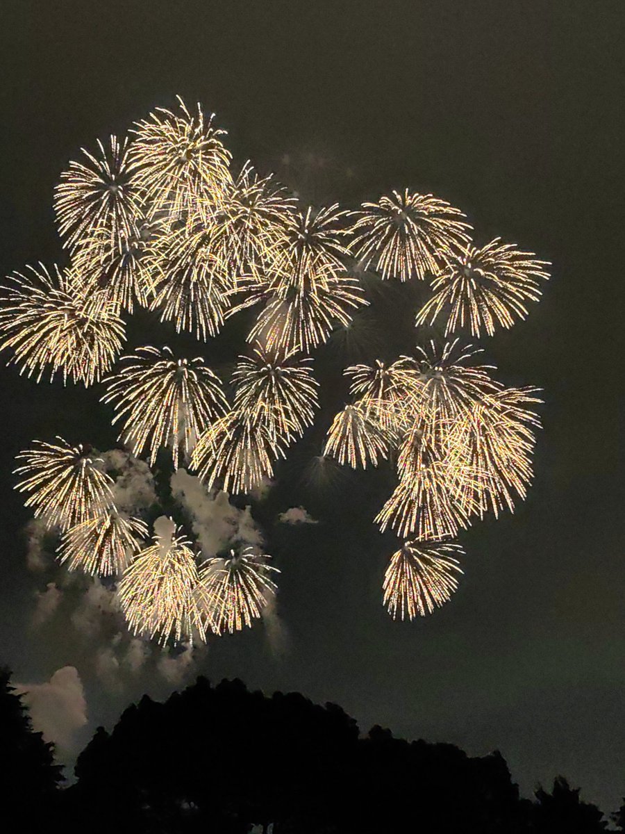 Yehe050701's tweet photo. 人生初めの花火大会
本当に素敵だった🥹🥹🥹 https://t.co/V5C5mbTlei