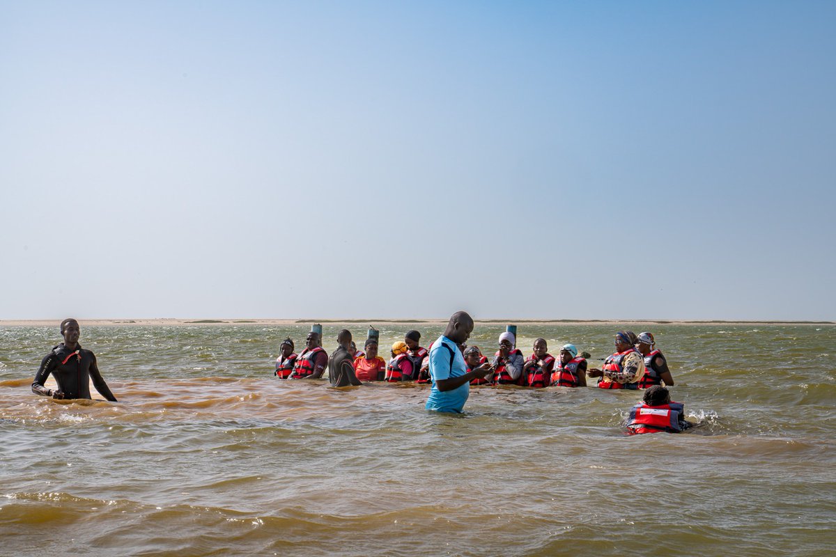 FAOSenegal's tweet photo. 🛟Aujourd'hui, c'est la Journée mondiale de la prévention des noyades #DrowningPrevention
Près de 90 pêcheurs meurent chaque jour dans le monde, dans des noyades. Découvrez comment #FISH4ACP contribue à rendre la pêche➕ sûre au Sénégal et ailleurs : https://t.co/EeJXVsl5Xs https://t.co/9Utm6lAVih