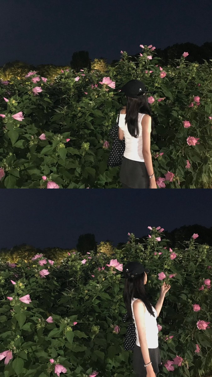 wW28vs's tweet photo. in 경주 https://t.co/BWVemef3Ow