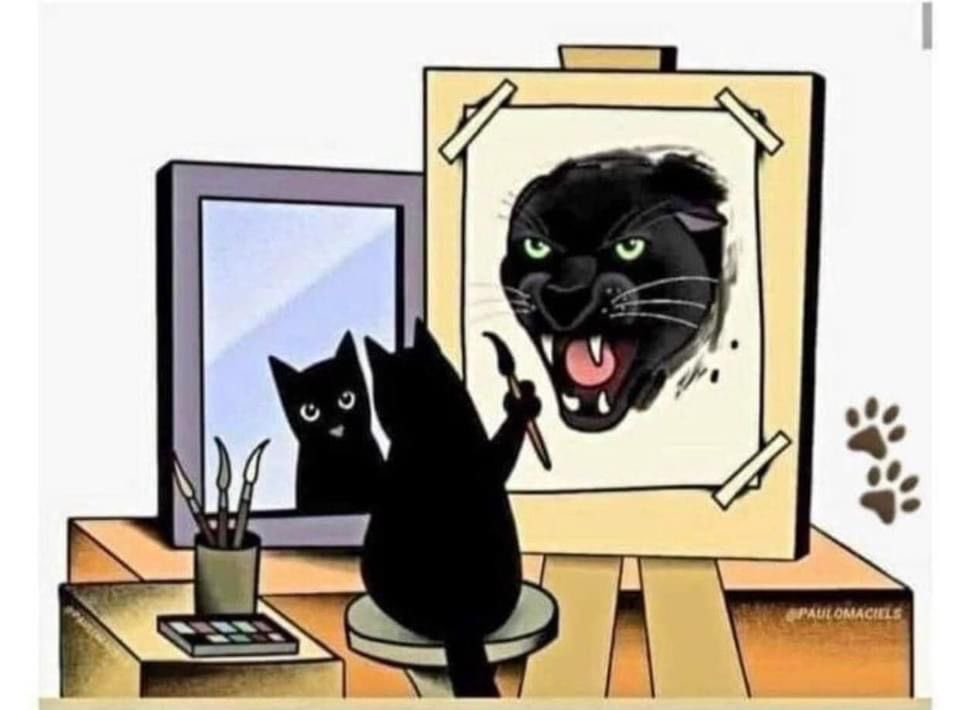 Black cats are not bad luck tweet media