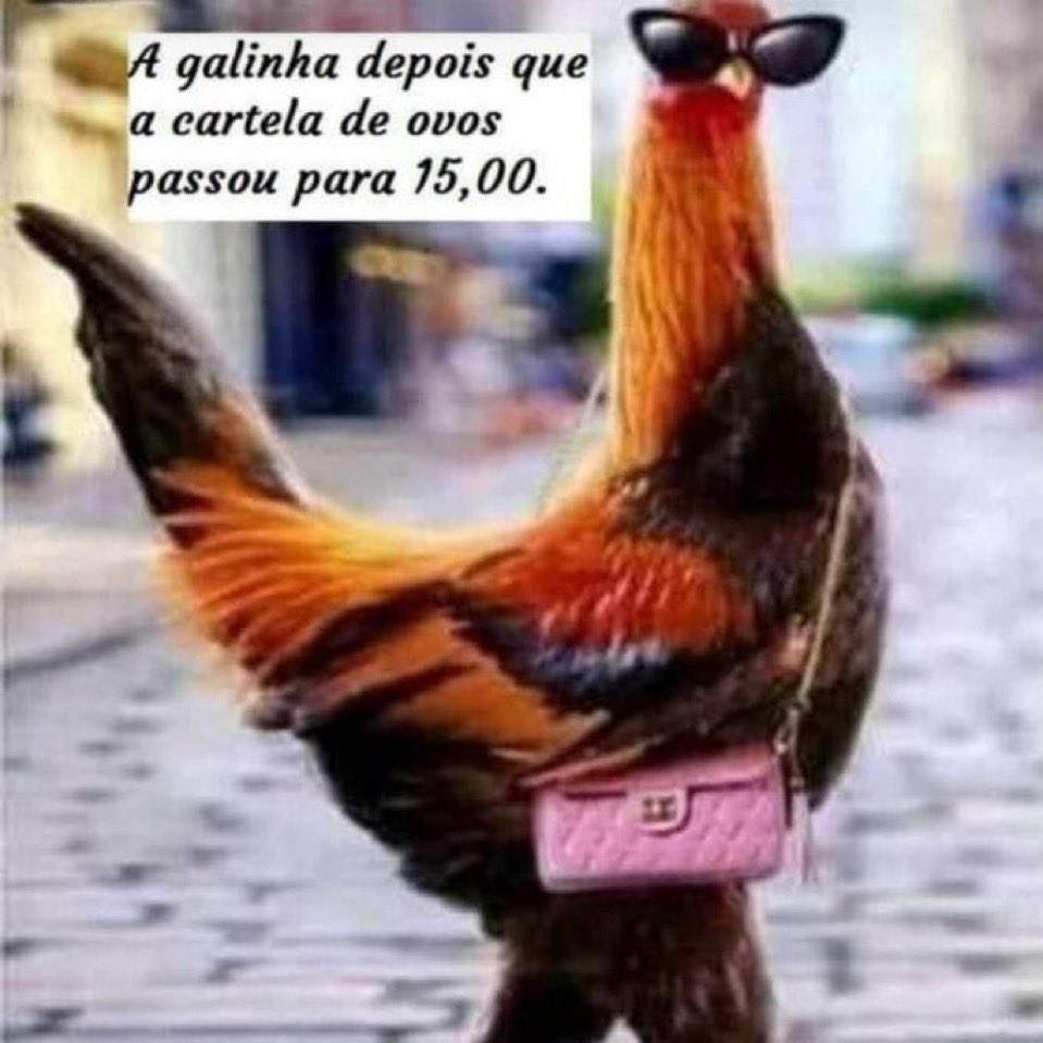 elis tweet media