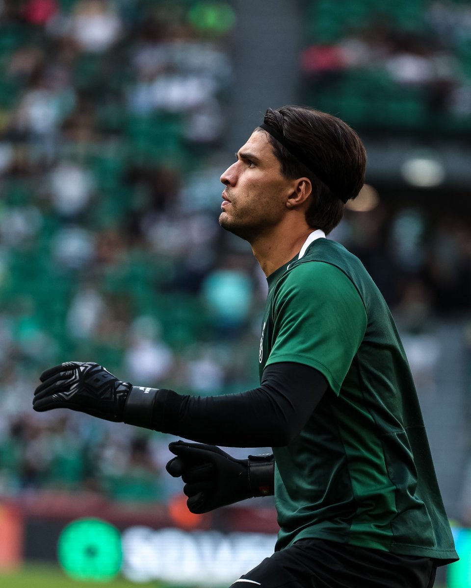 Sporting CP English tweet media