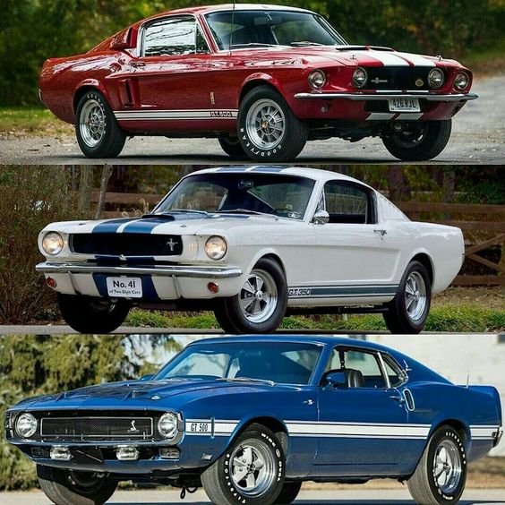 Col2Vintage's tweet photo. Top, Middle or Bottom 🤔 https://t.co/kCaX4aaUzK