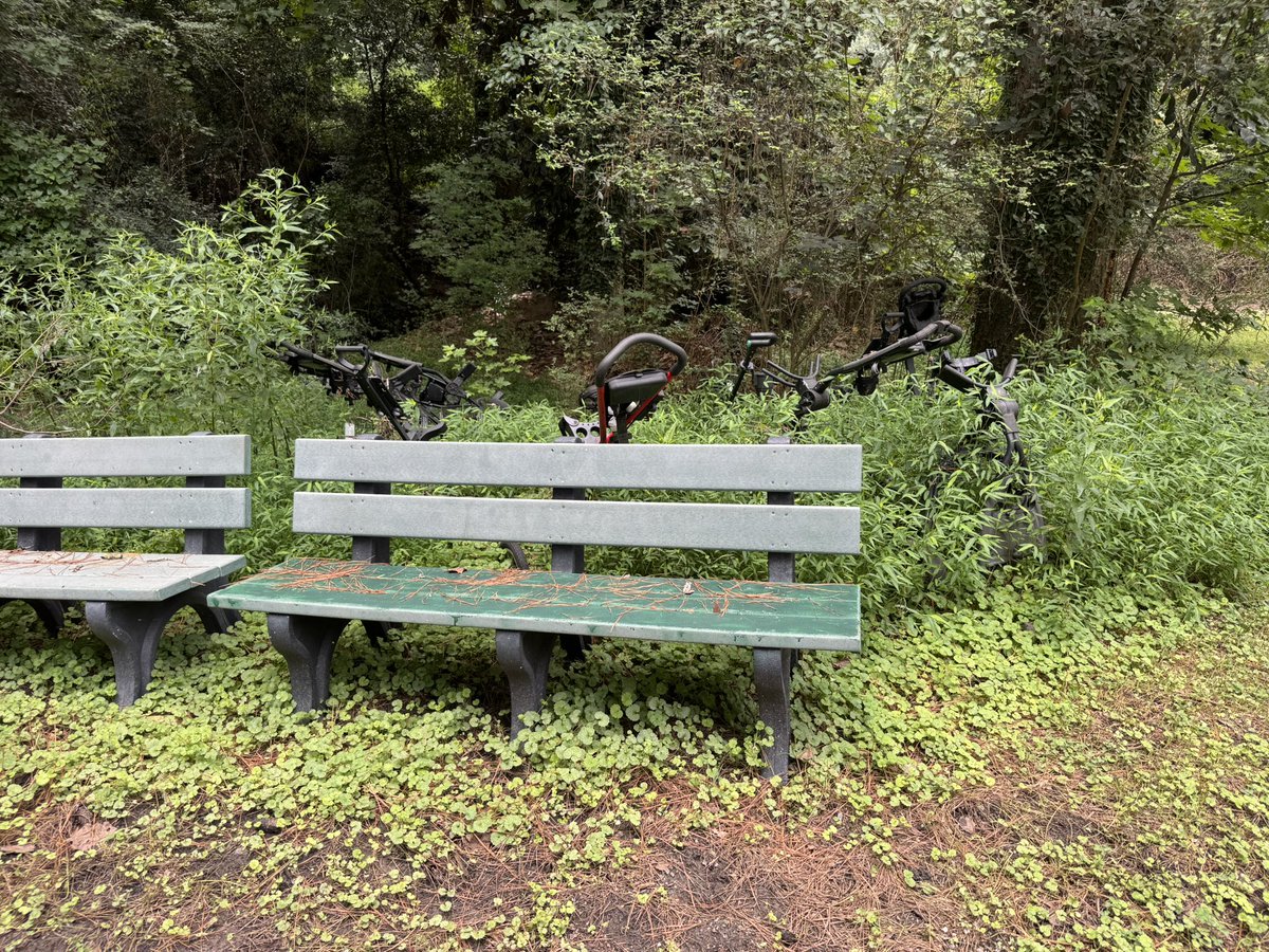 Ballgame70's tweet photo. Push carts, benches and broken dreams. https://t.co/kjZGb2vE3G