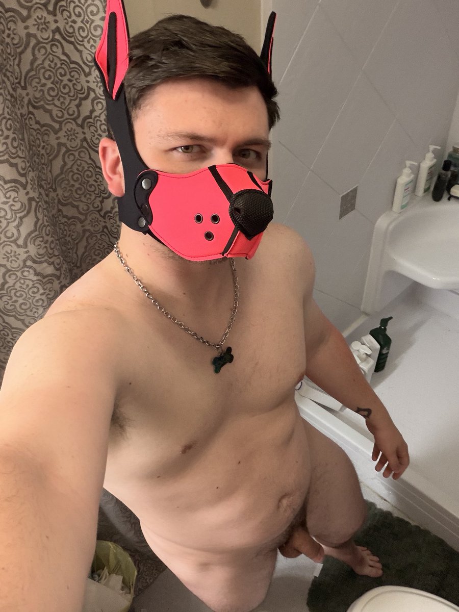 BetaPupKnox's tweet photo. Awrooooo 

#gay #gayporn #porn #himbo #pup #pupplay #gape #ws #piss #stinky #musk #ff #ruinme #gaybro #bro #sweaty #makemeworse #gooner #goon #gaygooner #hypno #gayhypno https://t.co/3Gl4iHZbI4