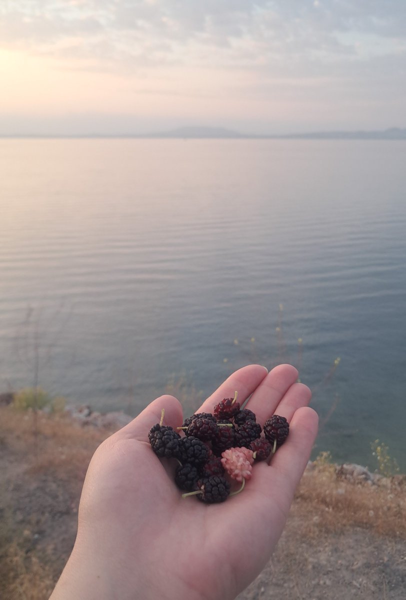 icelattee4's tweet photo. Kim Allah'tan daha güzel renk verebilir?🤲🤍 https://t.co/6NuOBXUZed
