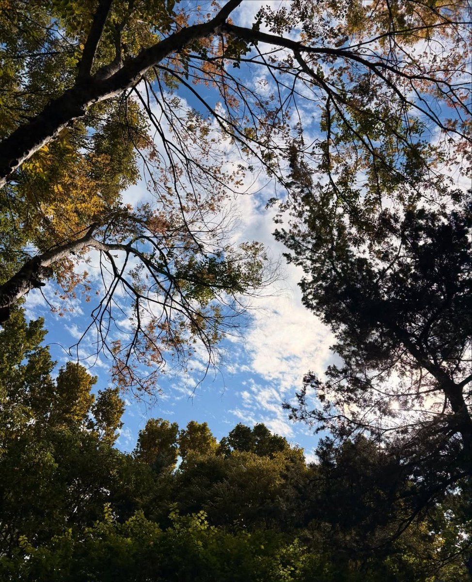powsour's tweet photo. 25.O7 
ᅠ
ᅠ
paseo de día sábado ♡
ᅠ
ᅠ https://t.co/3Yyd0ygxdX