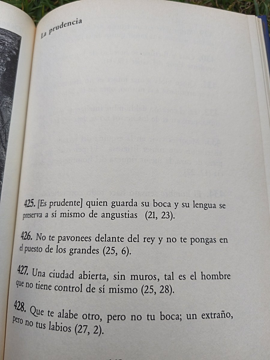 JohnFrostile's tweet photo. Doncs això . Apa, un lloc ideal aquí X per plantar això 🤭 https://t.co/Wa2zoypLLq