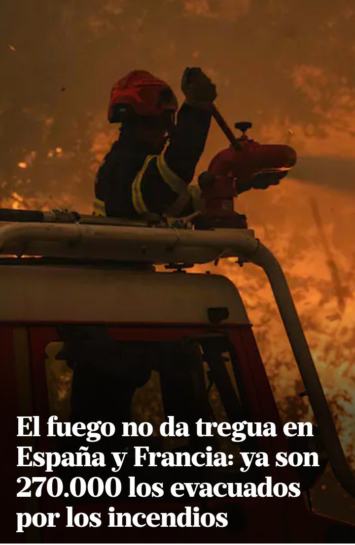 NZoos84591's tweet photo. Dios es Argentino https://t.co/yMWNcxIYPM