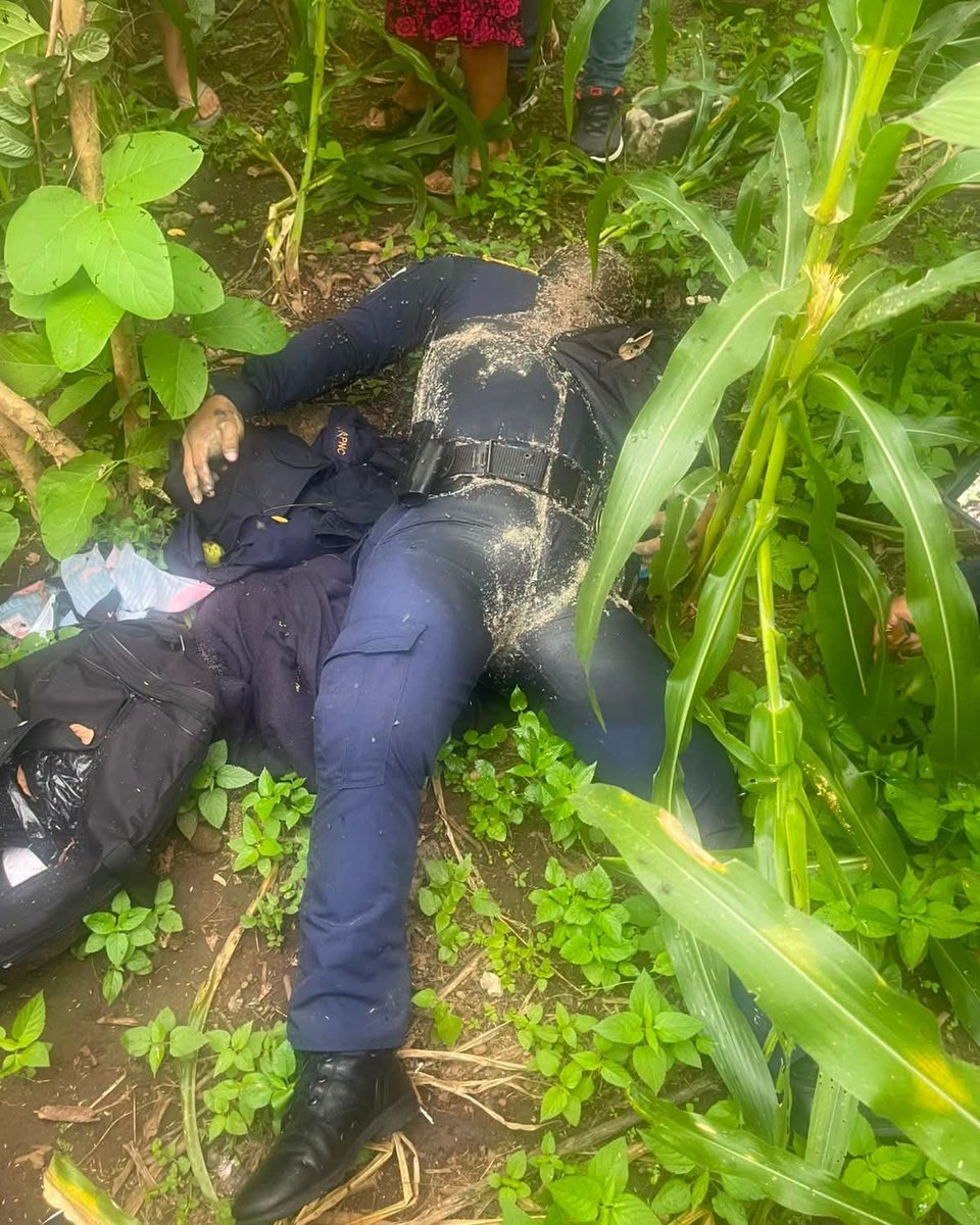 Herman5818Pb's tweet photo. 🚨🚨URGENTE | Hallan sin vida a un agente de la PNC que estaba desaparecido en San Marcos

El agente identificado como Everardo de la Cruz Rivera, fue localizado sin vida en un sembradío de milpa en Pajapita, San Marcos, luego de permanecer desaparecido desde el 22 de julio.

En la escena fueron localizados un arma de fuego, un casquillo y una mochila. El Ministerio Público realiza las diligencias para establecer las circunstancias del hecho.