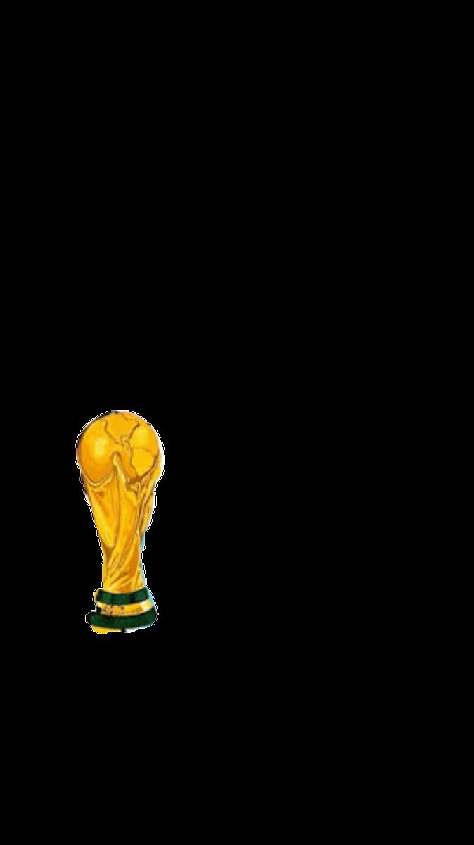 AliAbbas1718's tweet photo. Finally Ronaldo with a World Cup 🥺 https://t.co/cgorMysmt1