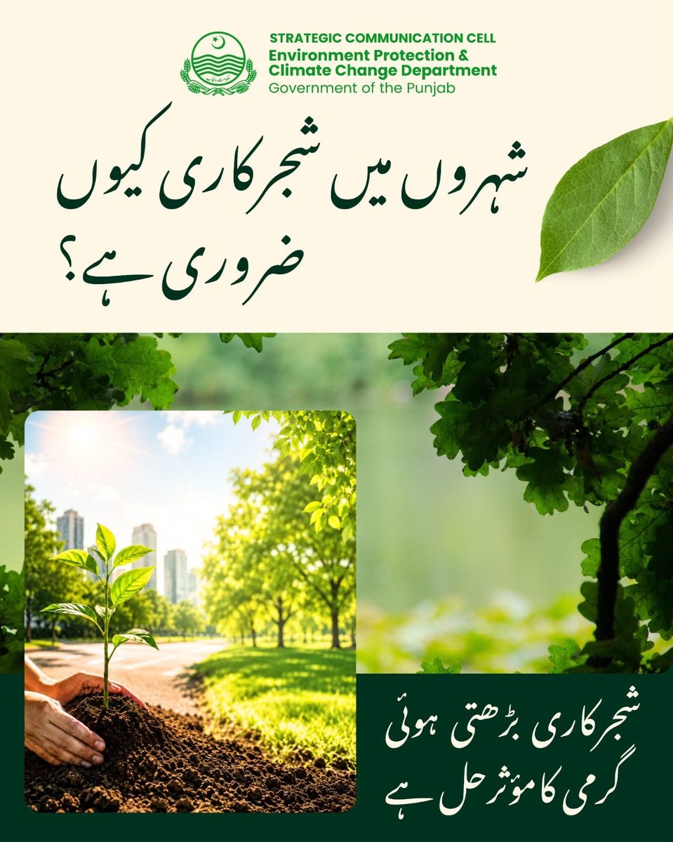 AdvAbdullahSid's tweet photo. شہروں میں شجرکاری صرف خوبصورتی نہیں بلکہ صاف فضا، بہتر ماحول اور صحت مند مستقبل کی ضمانت ہے۔ 🌱
آئیے زیادہ سے زیادہ درخت لگا کر اپنے شہروں کو سرسبز، ٹھنڈا اور آلودگی سے پاک بنائیں۔
#epapunjab #im4climate #maryamnawaz4climate  #saynotoplastic #plasticfreepunjab #Climatewarriors https://t.co/bpmxLYZsTN