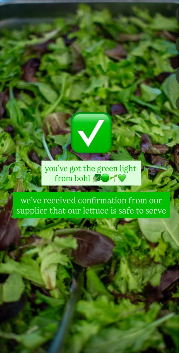 eatbohl's tweet photo. bohl is #safe 🌱 https://t.co/tJhPwYEeGz