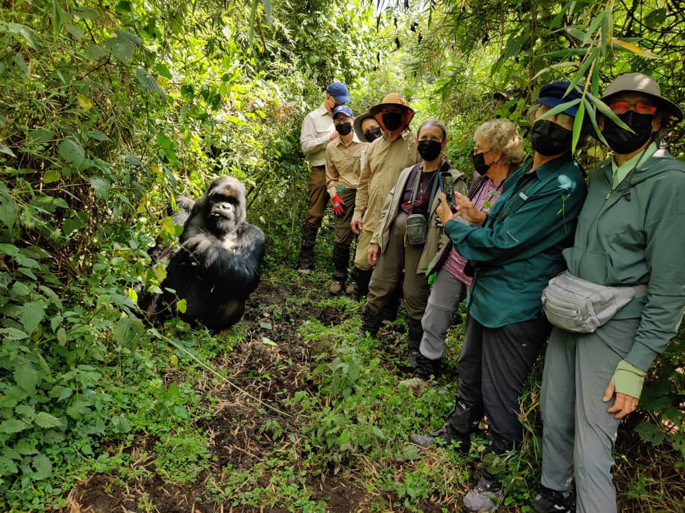 harerimana_tito's tweet photo. Experience Rwanda the Authentic Way with Gama Travel & Tour Agency 🇷🇼❤️
At @gamatourtravel,, including mountain gorilla trekking, golden monkey tracking, and visits to world-class conservation sites. Immerse yourself in the country's rich we go beyond sightseeing to create unforgettable journeys.
Discover Rwanda through incredible wildlife encounters, including mountain gorilla trekking, golden monkey tracking, and visits to world-class conservation sites. Immerse yourself in the country's rich heritage by experiencing traditional attire, local cuisine, ancient customs, and cultural activities.
Every journey with #GamaWay is an opportunity to connect with Rwanda's wildlife, culture, and people.
🌍 Start your adventure today:
📍 Website: https://t.co/vwTnB3SrTN
📍 SafariBookings: https://t.co/EOF4ALDX0y
#VisitRwanda #GamaWay #GamaTravelAndTourAgency