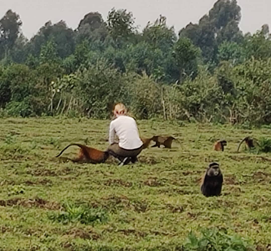 harerimana_tito's tweet photo. Experience Rwanda the Authentic Way with Gama Travel & Tour Agency 🇷🇼❤️
At @gamatourtravel,, including mountain gorilla trekking, golden monkey tracking, and visits to world-class conservation sites. Immerse yourself in the country's rich we go beyond sightseeing to create unforgettable journeys.
Discover Rwanda through incredible wildlife encounters, including mountain gorilla trekking, golden monkey tracking, and visits to world-class conservation sites. Immerse yourself in the country's rich heritage by experiencing traditional attire, local cuisine, ancient customs, and cultural activities.
Every journey with #GamaWay is an opportunity to connect with Rwanda's wildlife, culture, and people.
🌍 Start your adventure today:
📍 Website: https://t.co/vwTnB3SrTN
📍 SafariBookings: https://t.co/EOF4ALDX0y
#VisitRwanda #GamaWay #GamaTravelAndTourAgency