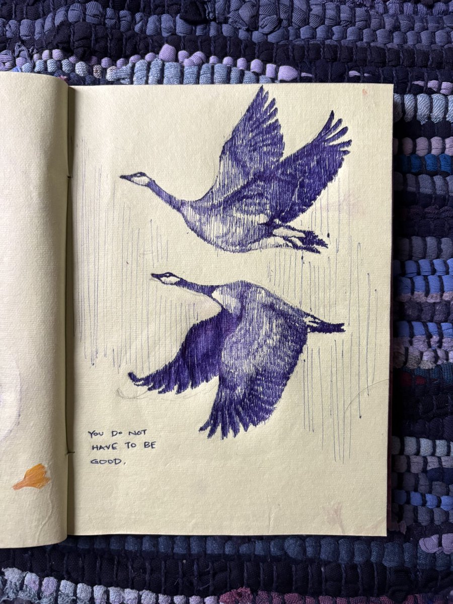 w0rdgenerator's tweet photo. I’m always and forever thinking about wild geese by mary oliver https://t.co/b84Pp4Ggpl