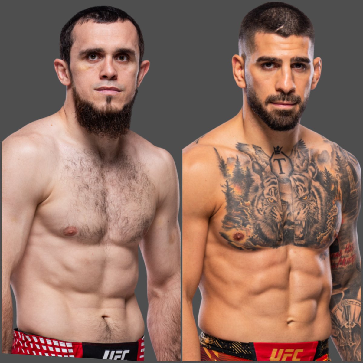 MMA Fan Wars 🎩⚔️⚔️ tweet media