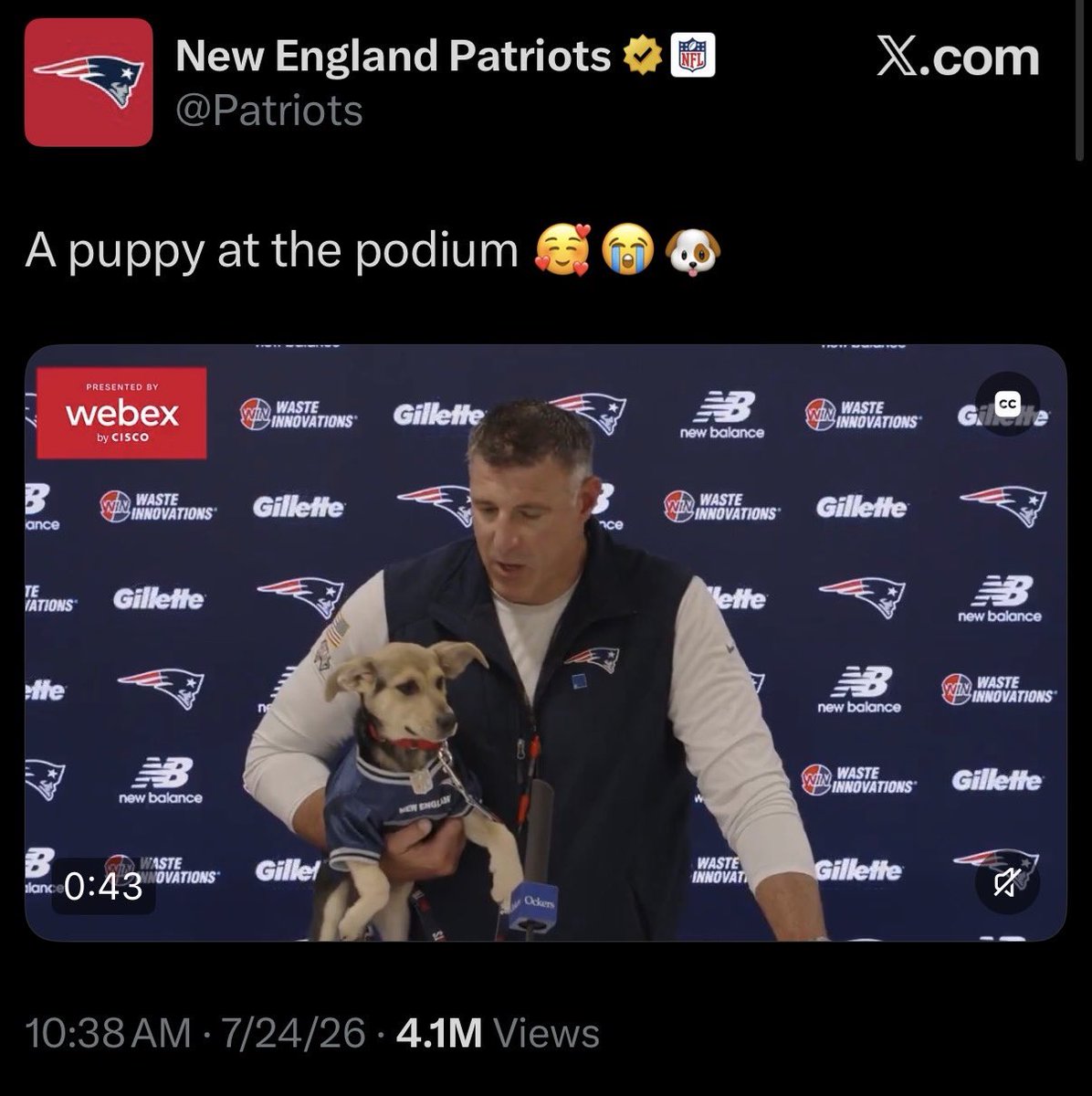 Robert Behrens tweet media