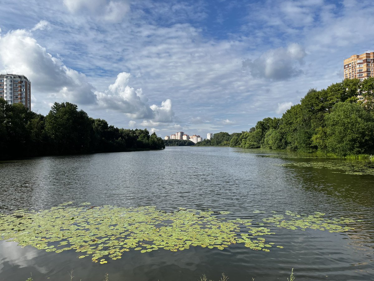 dvai89's tweet photo. Велодень ⛅️ hometown 😌 https://t.co/nQvJSrDNo9