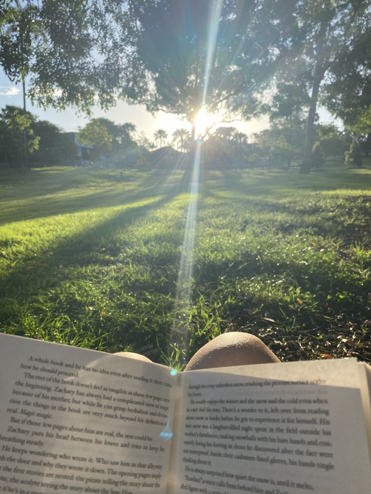AlejaReads's tweet photo. Books will always be my reason for being.>>> https://t.co/RnYrDiEBlK